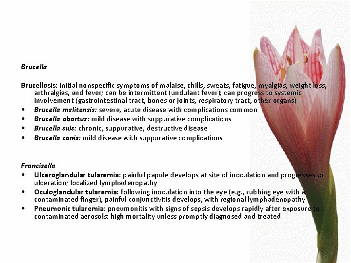 Brucella Brucellosis: initial nonspecific symptoms of malaise, chills, sweats, fatigue, myalgias, weight loss, arthralgias,