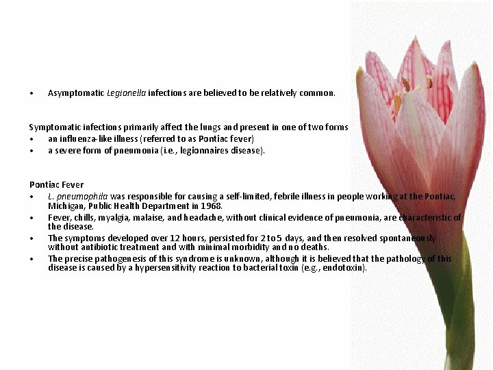  • Asymptomatic Legionella infections are believed to be relatively common. Symptomatic infections primarily