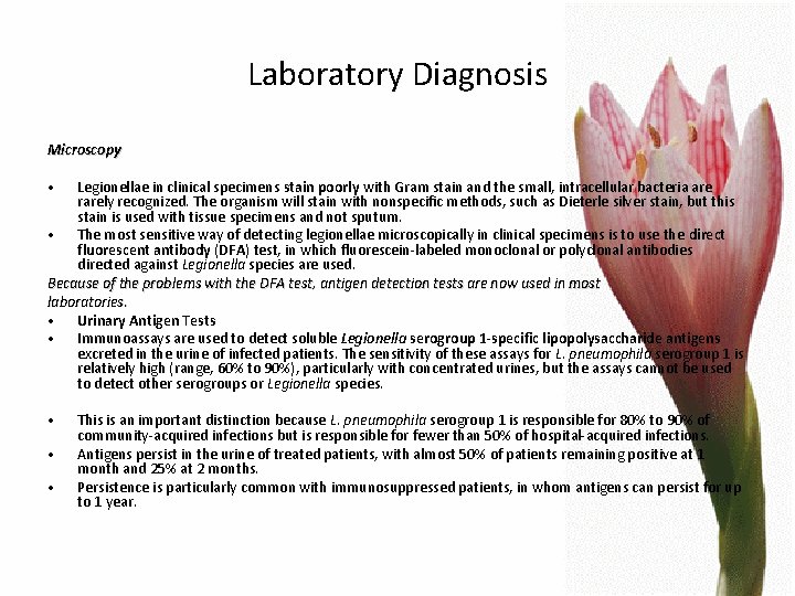 Laboratory Diagnosis Microscopy • Legionellae in clinical specimens stain poorly with Gram stain and