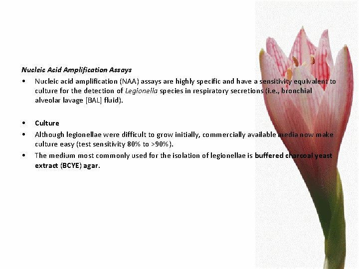 Nucleic Acid Amplification Assays • Nucleic acid amplification (NAA) assays are highly specific and