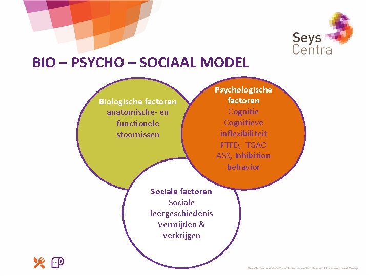 BIO – PSYCHO – SOCIAAL MODEL Biologische factoren anatomische- en functionele stoornissen Sociale factoren