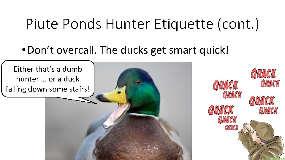 Piute Ponds Hunter Etiquette (cont. ) • Don’t overcall. The ducks get smart quick!