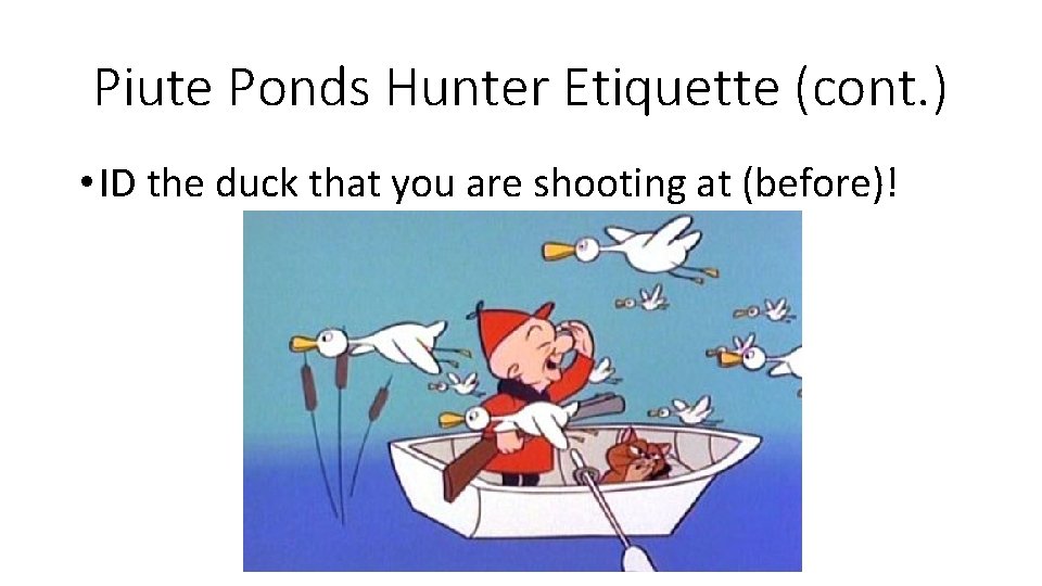 Piute Ponds Hunter Etiquette (cont. ) • ID the duck that you are shooting