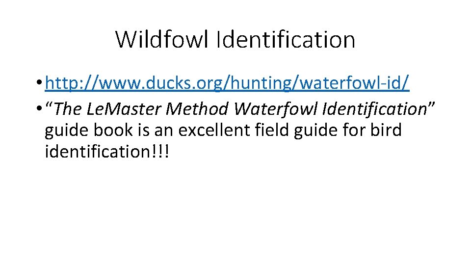 Wildfowl Identification • http: //www. ducks. org/hunting/waterfowl-id/ • “The Le. Master Method Waterfowl Identification”