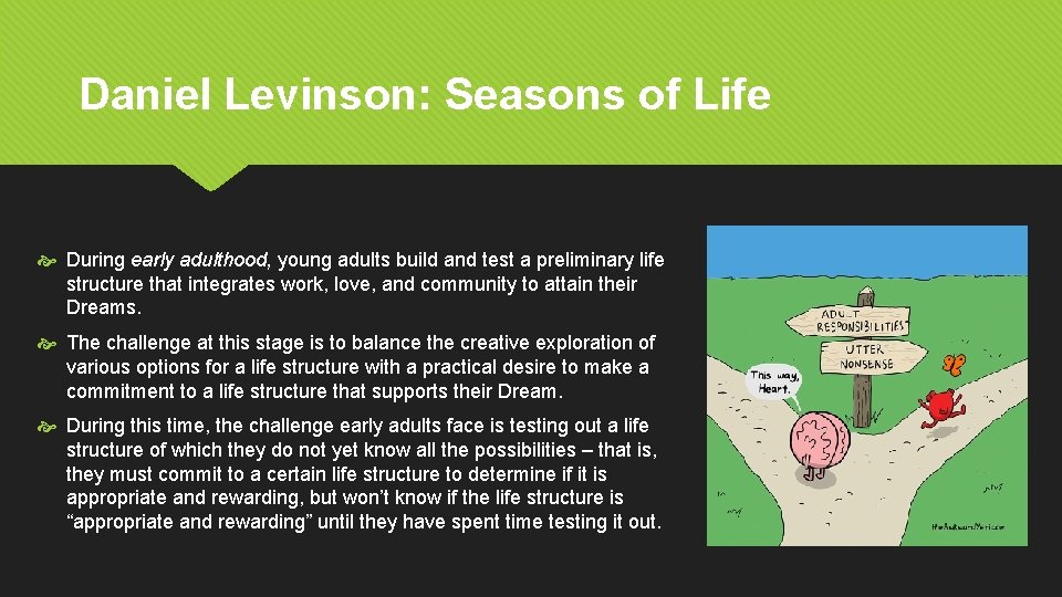 Daniel Levinson: Seasons of Life During early adulthood, young adults build and test a