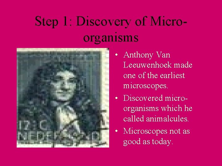 Step 1: Discovery of Microorganisms • Anthony Van Leeuwenhoek made one of the earliest