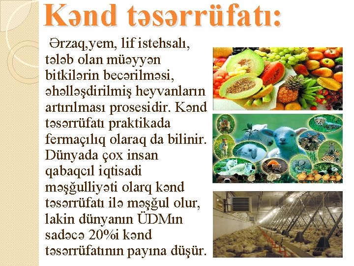 Kənd təsərrüfatı: Ərzaq, yem, lif istehsalı, tələb olan müəyyən bitkilərin becərilməsi, əhəlləşdirilmiş heyvanların artırılması