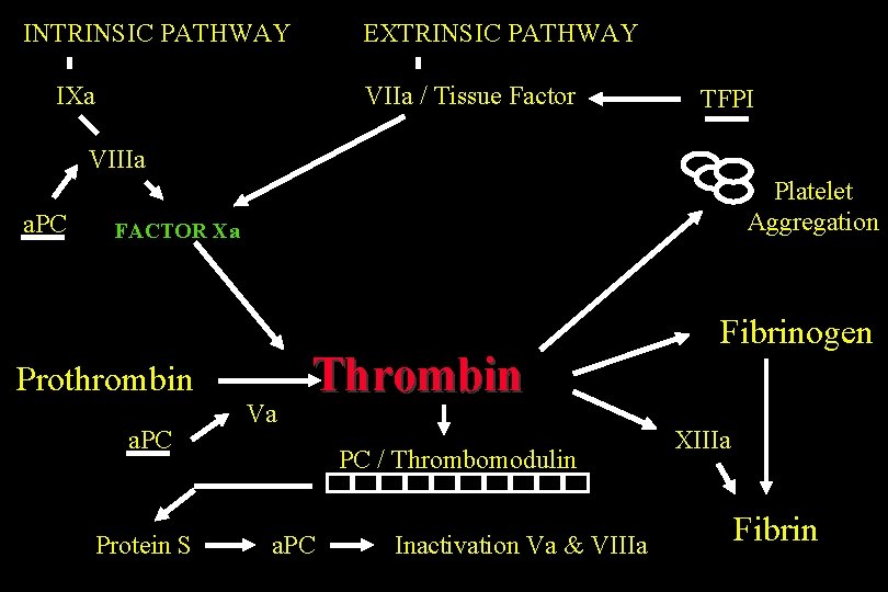 INTRINSIC PATHWAY EXTRINSIC PATHWAY IXa VIIa / Tissue Factor TFPI VIIIa a. PC Platelet