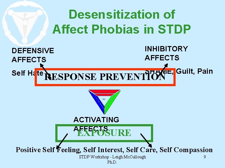 Desensitization of Affect Phobias in STDP DEFENSIVE AFFECTS INHIBITORY AFFECTS Self Hate SHAME, Guilt,