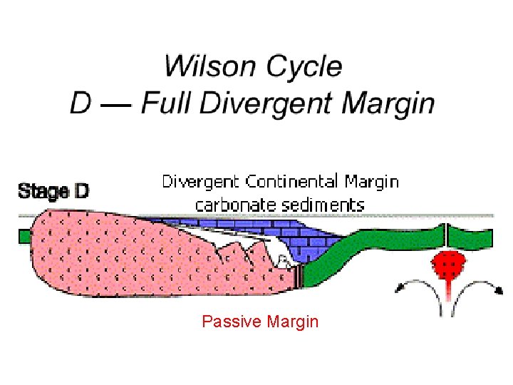 Passive Margin 