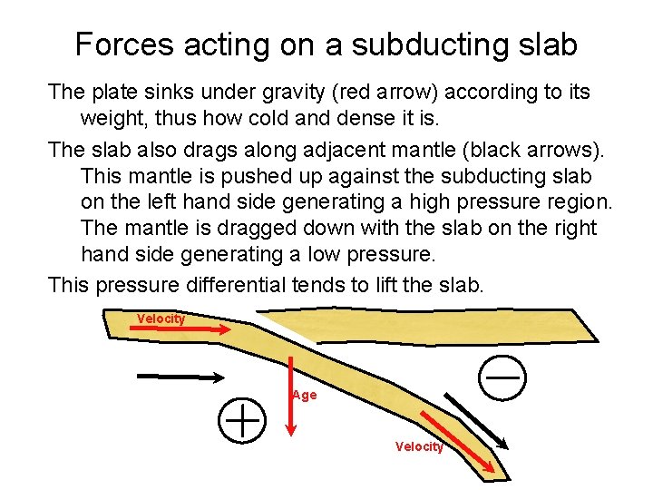 Forces acting on a subducting slab The plate sinks under gravity (red arrow) according