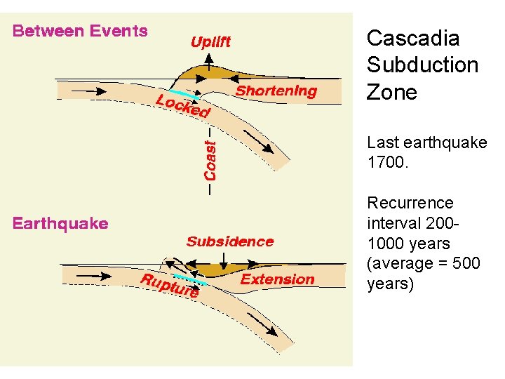 Cascadia Subduction Zone Last earthquake 1700. Recurrence interval 2001000 years (average = 500 years)