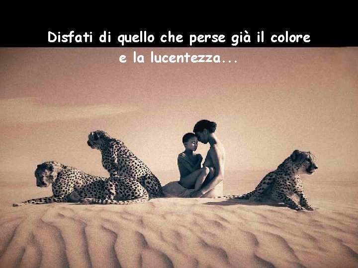 Disfati di quello che perse già il colore e la lucentezza. . . 