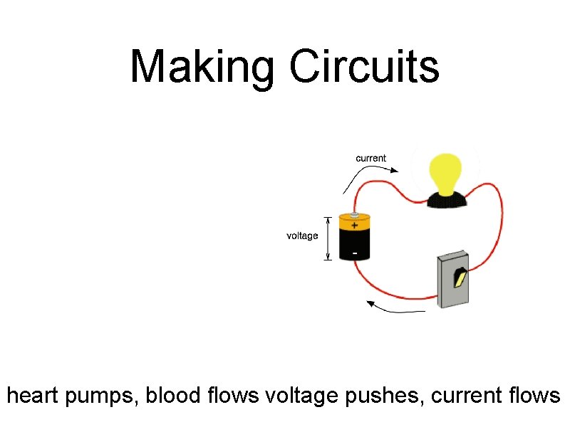 Making Circuits heart pumps, blood flows voltage pushes, current flows 