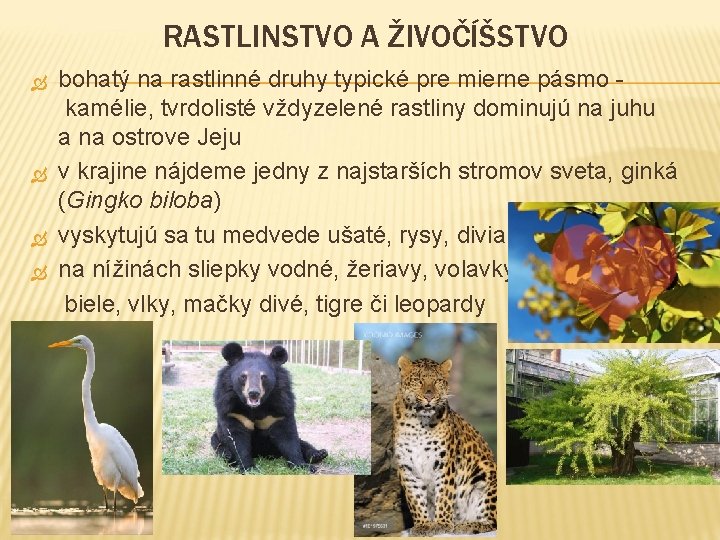RASTLINSTVO A ŽIVOČÍŠSTVO bohatý na rastlinné druhy typické pre mierne pásmo - kamélie, tvrdolisté
