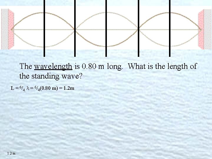 The wavelength is 0. 80 m long. What is the length of the standing