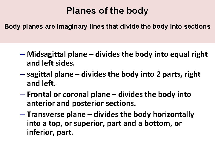 Planes of the body Body planes are imaginary lines that divide the body into