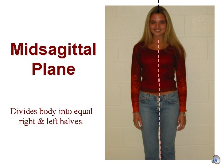 Midsagittal Plane Divides body into equal right & left halves. 