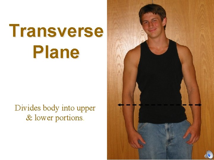 Transverse Plane Divides body into upper & lower portions. 