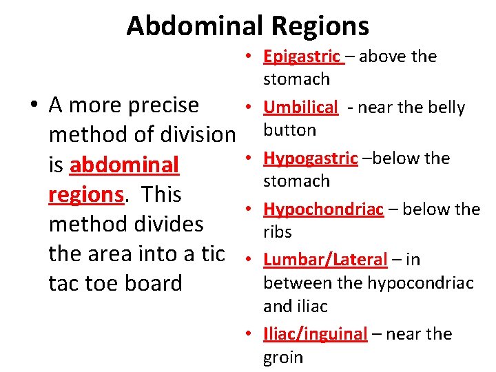 Abdominal Regions • A more precise method of division is abdominal regions. This method