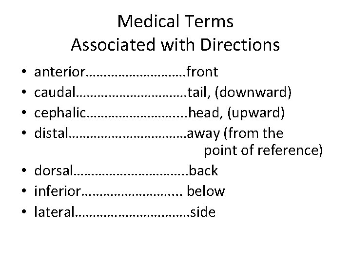 Medical Terms Associated with Directions anterior……………. front caudal……………. tail, (downward) cephalic…………. . head, (upward)