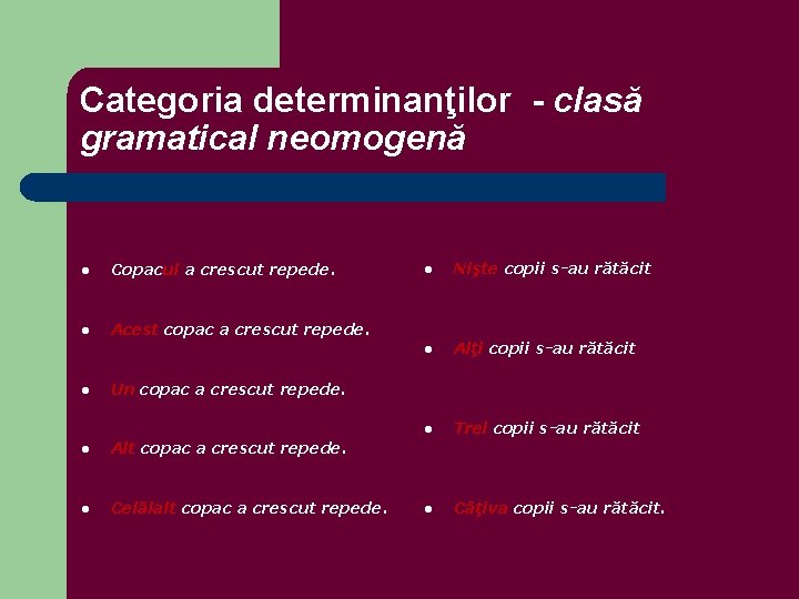 Categoria determinanţilor - clasă gramatical neomogenă l Copacul a crescut repede. l Acest copac