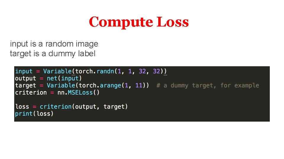 Compute Loss input is a random image target is a dummy label Compute Loss input is a random image target is a dummy label