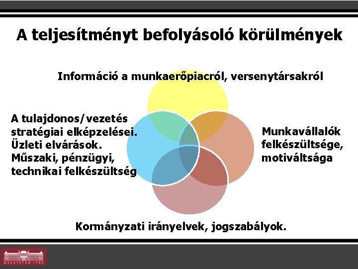 A teljesítményt befolyásoló körülmények Információ a munkaerőpiacról, versenytársakról A tulajdonos/vezetés stratégiai elképzelései. Üzleti elvárások.