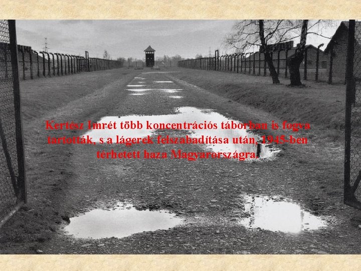 Kertész Imrét több koncentrációs táborban is fogva tartották, s a lágerek felszabadítása után, 1945