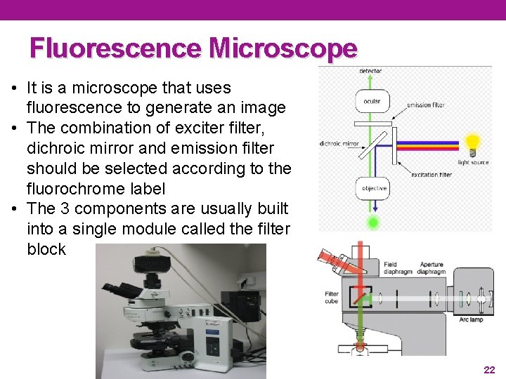 Fluorescence Microscope • It is a microscope that uses fluorescence to generate an image