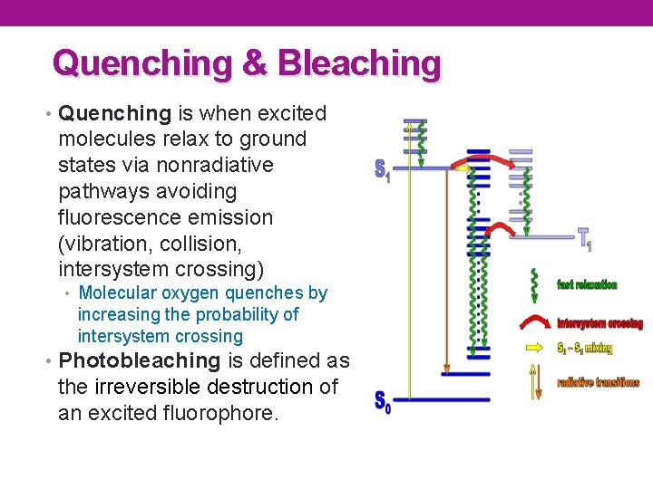Quenching & Bleaching • Quenching is when excited molecules relax to ground states via