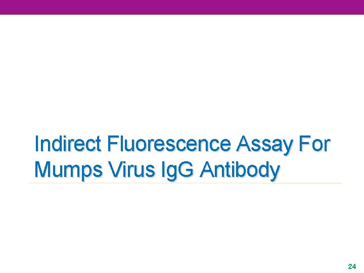 Indirect Fluorescence Assay For Mumps Virus Ig. G Antibody 24 