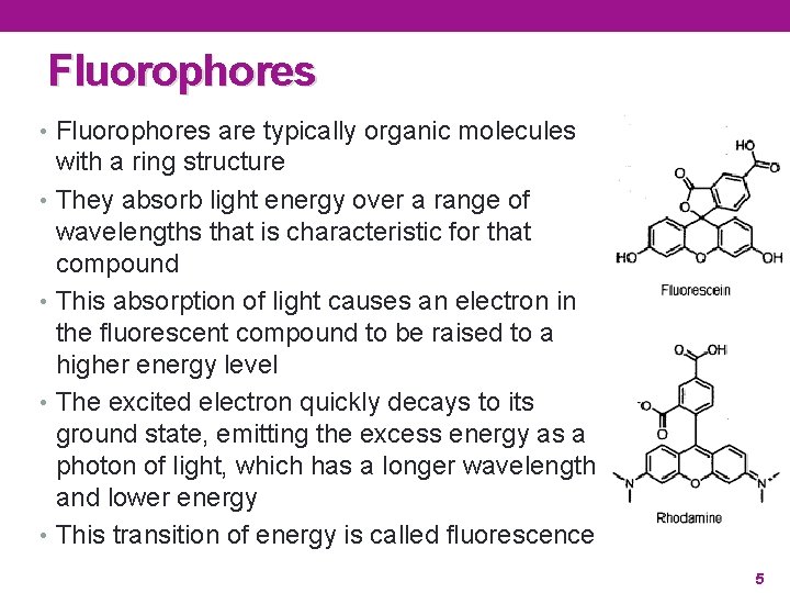 Fluorophores • Fluorophores are typically organic molecules with a ring structure • They absorb