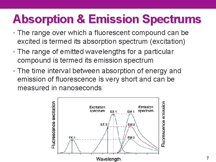 Absorption & Emission Spectrums • The range over which a fluorescent compound can be