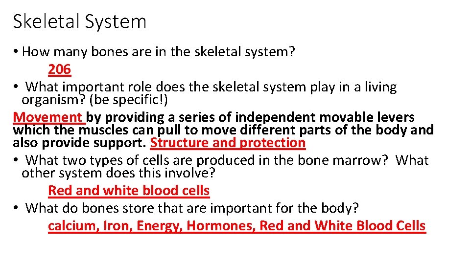 Skeletal System • How many bones are in the skeletal system? 206 • What