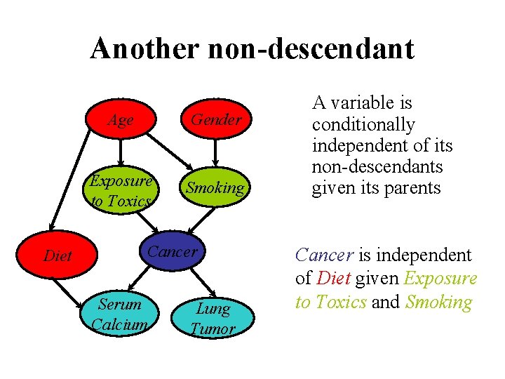 Another non-descendant Diet Age Gender Exposure to Toxics Smoking Cancer Serum Calcium Lung Tumor