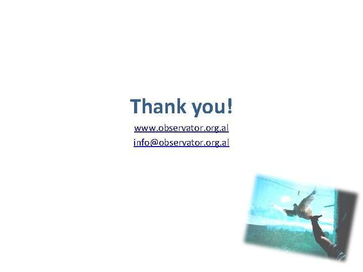 Thank you! www. observator. org. al info@observator. org. al 
