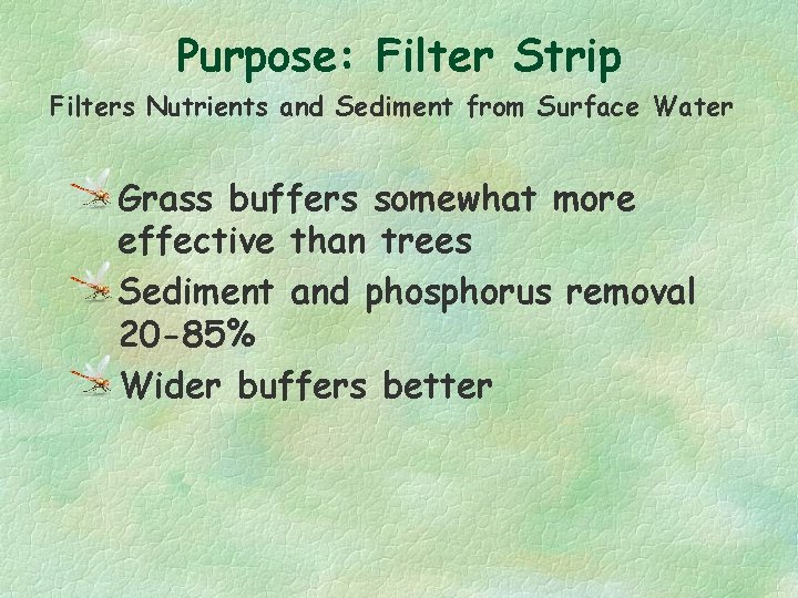 Purpose: Filter Strip Filters Nutrients and Sediment from Surface Water Grass buffers somewhat more