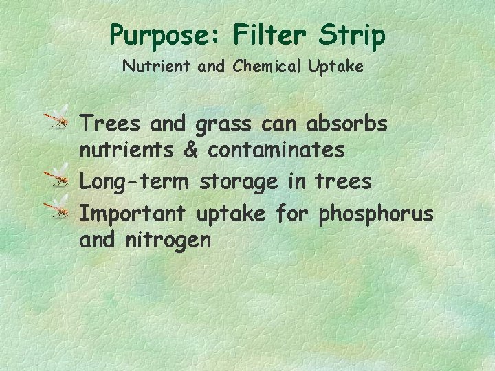 Purpose: Filter Strip Nutrient and Chemical Uptake Trees and grass can absorbs nutrients &