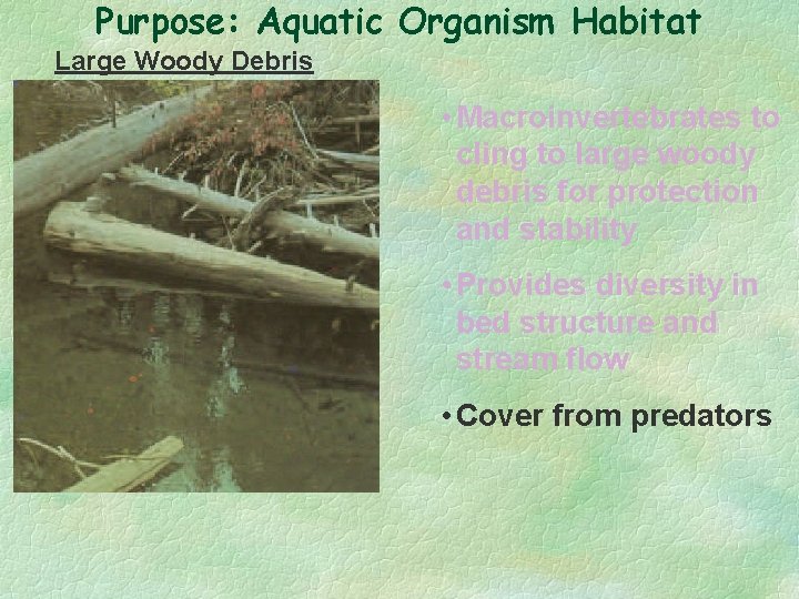 Purpose: Aquatic Organism Habitat Large Woody Debris • Macroinvertebrates to cling to large woody