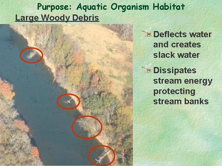 Purpose: Aquatic Organism Habitat Large Woody Debris Deflects water and creates slack water Dissipates