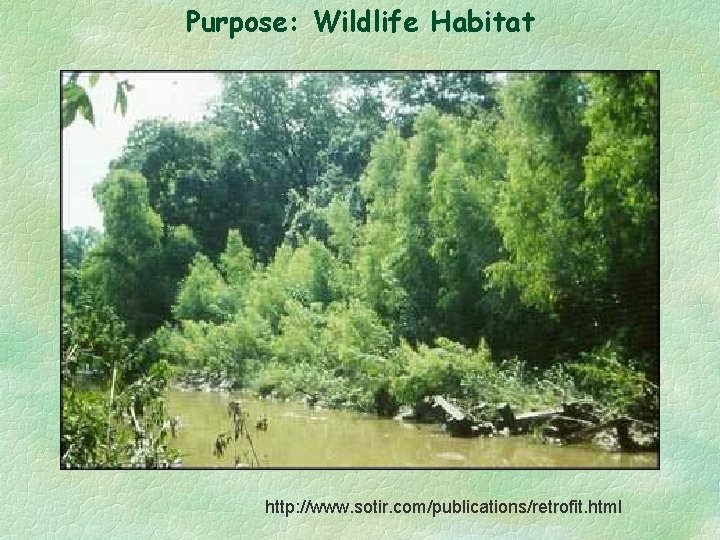 Purpose: Wildlife Habitat http: //www. sotir. com/publications/retrofit. html 
