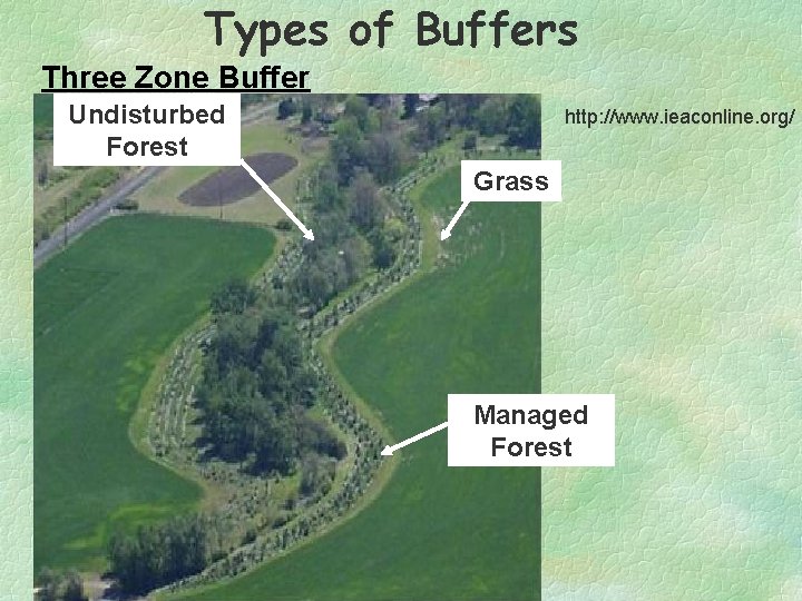 Types of Buffers Three Zone Buffer Undisturbed Forest http: //www. ieaconline. org/ Grass Managed