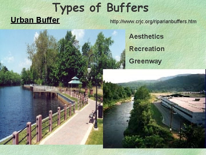Types of Buffers Urban Buffer http: //www. crjc. org/riparianbuffers. htm Aesthetics Recreation Greenway 