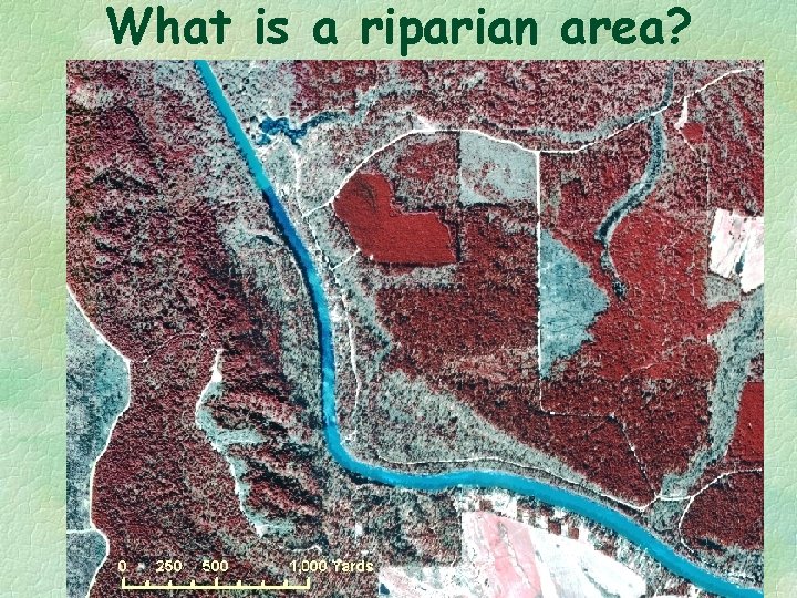 What is a riparian area? 
