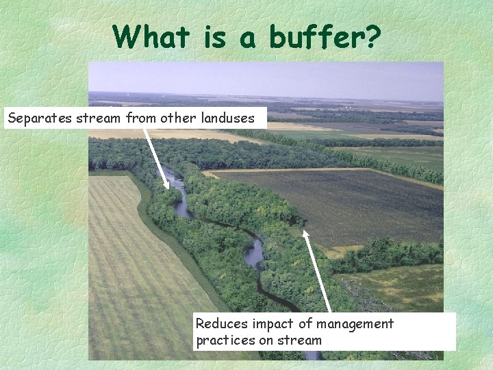 What is a buffer? Separates stream from other landuses Reduces impact of management practices