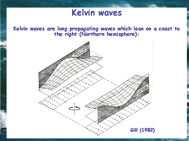 Kelvin waves are long propagating waves which lean on a coast to the right