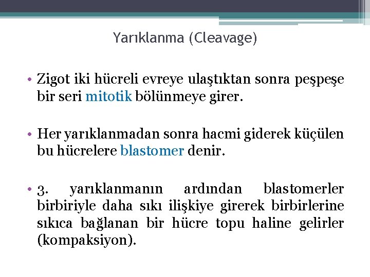 Yarıklanma (Cleavage) • Zigot iki hücreli evreye ulaştıktan sonra peşpeşe bir seri mitotik bölünmeye