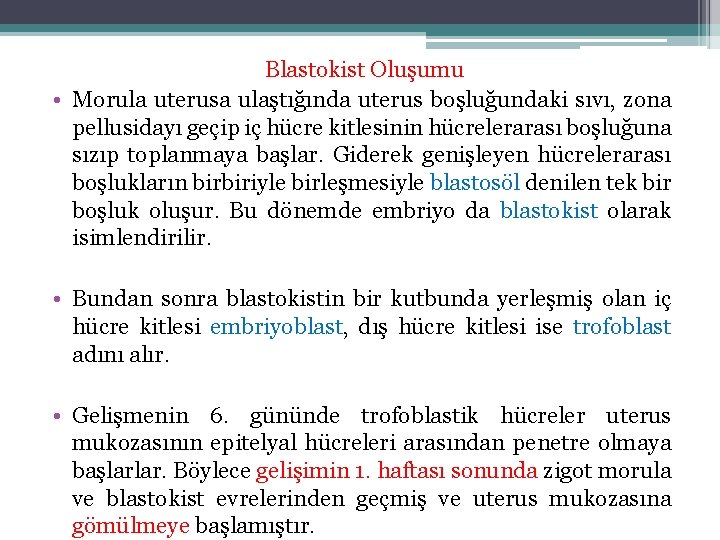 Blastokist Oluşumu • Morula uterusa ulaştığında uterus boşluğundaki sıvı, zona pellusidayı geçip iç hücre