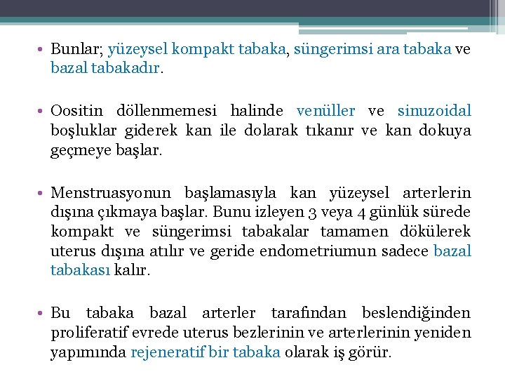  • Bunlar; yüzeysel kompakt tabaka, süngerimsi ara tabaka ve bazal tabakadır. • Oositin